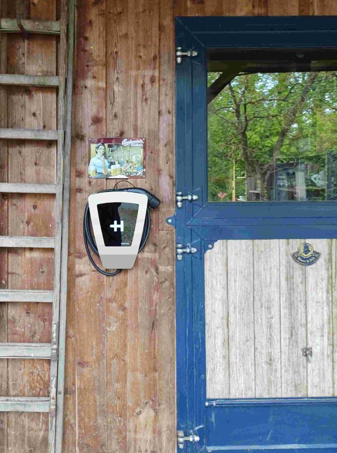 Fewo Haus Patze Betzendorf エクステリア 写真