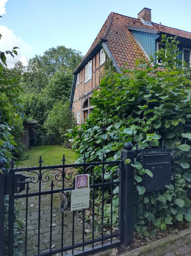 Fewo Haus Patze Betzendorf エクステリア 写真