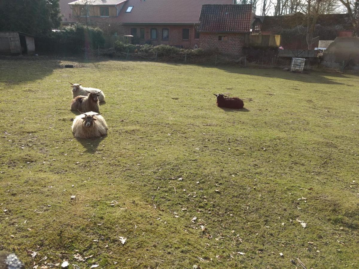 Fewo Haus Patze Betzendorf エクステリア 写真