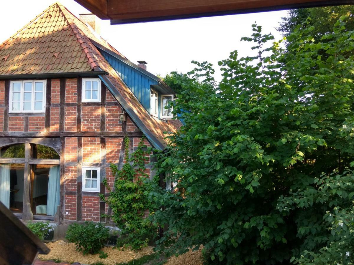 Fewo Haus Patze Betzendorf エクステリア 写真